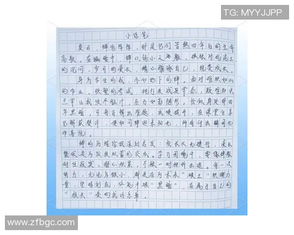 杨芳专访：探索极限运动的挑战与成长之路