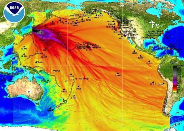 完美体育网站日本启动第五轮核污水排海年内将排放5万吨放射物都去哪了？(图7)