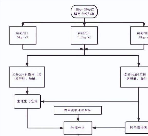 完美体育工厂化循环水模式下养殖密度对红鳍东方鲀幼鱼的生长有何影响？(图19)