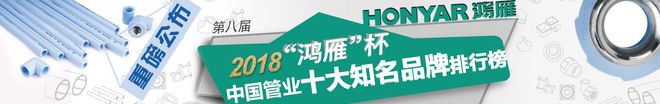 鸿雁杯2018中国管业十大知名品牌排行榜元财、上意欧美亚蓝翎完美体育网站入榜(图1)