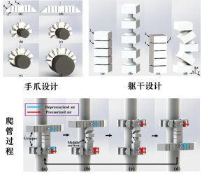 可应用于人工肌肉和管道机器人天津大学：软性机器人实现“模完美体育网站块化”3D打印(图3)