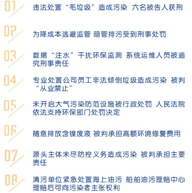 完美体育保卫蓝天、碧水、净土上海市高级人民法院发布8起典型案例(图2)